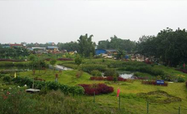 農村生態(tài)濕地污水處理系統，變成公園了??！